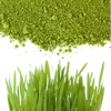 Own label wheatgrass UK