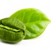Wholesale green coffee supplement