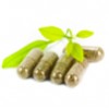 Vitamin supplement wholesaler UK