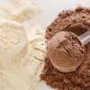 Wholesale protein powder