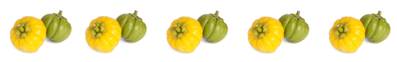 Wholesale Garcinia Cambogia