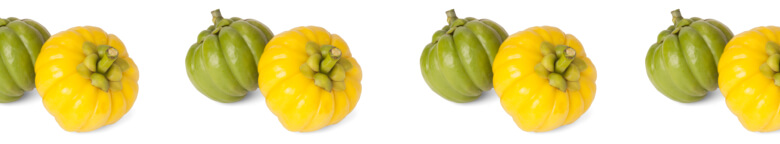 Wholesale garcinia cambogia supplement