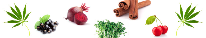 Wholesale hemp protein powder plus antioxidants and phyto-nutrients