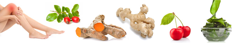 Wholesale bone and joint supplement